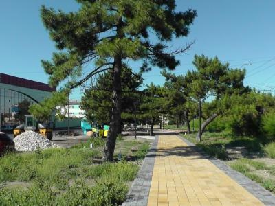 Прикрепленное изображение: S2880004~.jpg